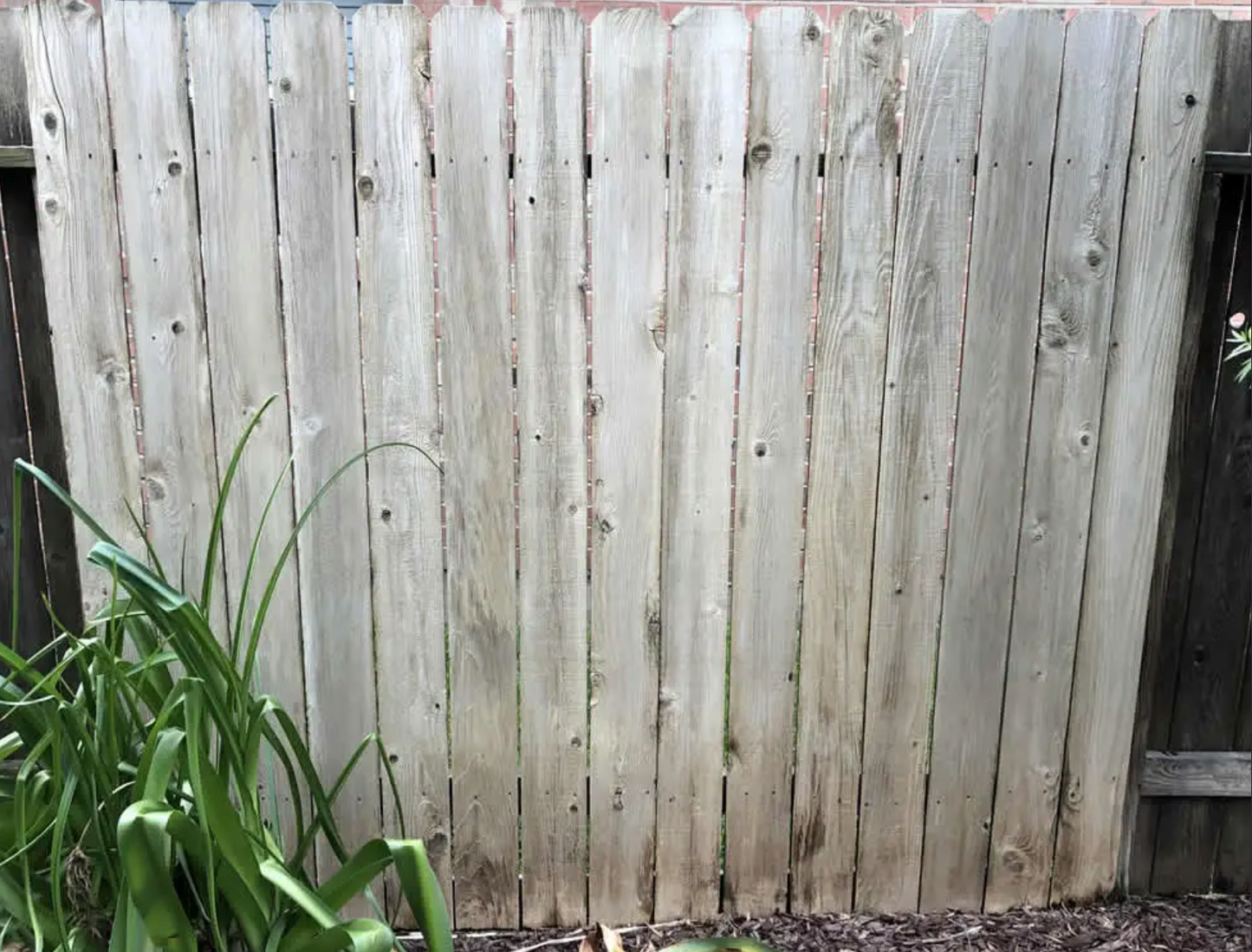 Fence   Cleaning in Santa Rosa, CA